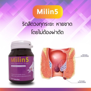 ริดสีดวง ติ่งแห้ง ยุบไว Milin5 ชุดทดลอง มิลิน5