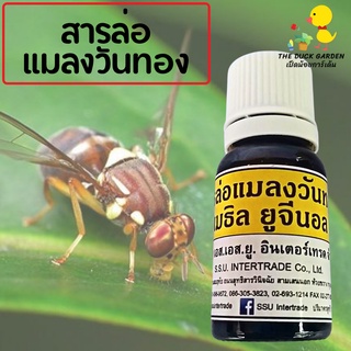 สารล่อแมลงวันทอง เมธิลยูจินอล 10 ml. ของแท้