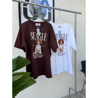 เสื้อยืดลายสุนัข Beagle (ป้าย nothing house)