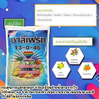 ปุ๋ยเกล็ด(แม่ปุ๋ย)13-0-46 ชาลีเฟรท ช่วยดึงช่อดอก ช่วยเข้าสี ขยายผล เพิ่มความหวาน 1กิโลกรัม