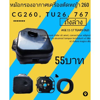 กรองอากาศเครื่องตัดหญ้า cg260