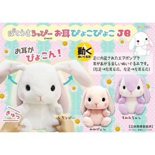 พร้อมส่ง✅️[TOREBA][🇯🇵นำเข้าจากญี่ปุ่น🇯🇵]ตุ๊กตากระต่าย Amuse : Pote Usa Loppy- Ear PyokoPyoko Jumbo