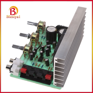 ( Blesiya1 ) Dc 12V Dx0408 บอร์ดโมดูลขยายเสียงสเตอริโอดิจิตอล Diy 100W