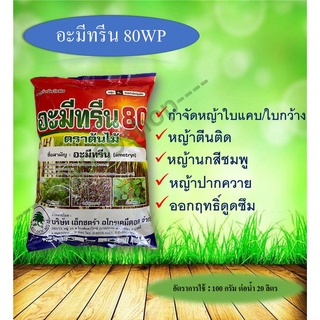 อะมีทรีน 80 (1*25)(อะมีทรีน 80% WP) ชนิดผง ตราต้นไม้