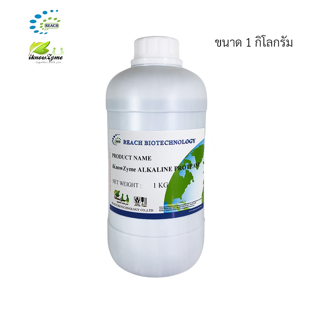 iKnowZyme Alkaline Protease เอนไซม์ อัลคาไลน์โปรตีเอส  ขนาด 1 กิโลกรัม