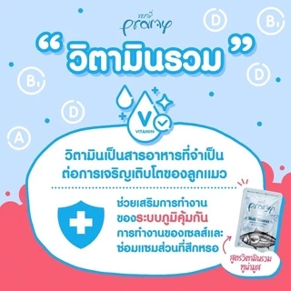 (แบบโหล)Pramy Premium Cat Pouch ❤️😸 พรามี่ อาหารเปียกเกรดพรีเมี่ยม สำหรับแมว 70g x 12 ซอง