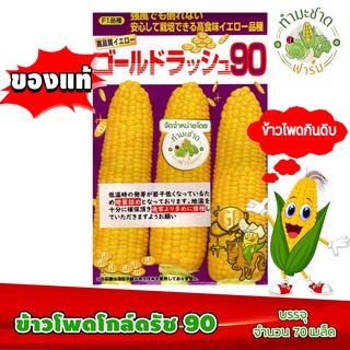 [ซองแท้ 70เมล็ด] เมล็ดพันธุ์ ข้าวโพด โกลด์รัช 90 Gold Rush 90 Hokkaido Sweet Corn ข้าวโพดฮอกไกโด ข้าวโพดนมสด