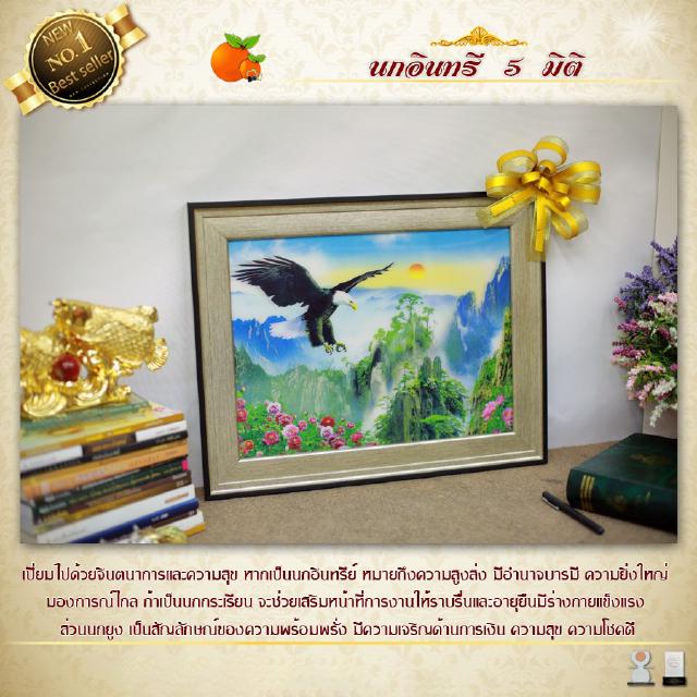 กรอบรูปมงคลนกอินทรี 5 มิติ