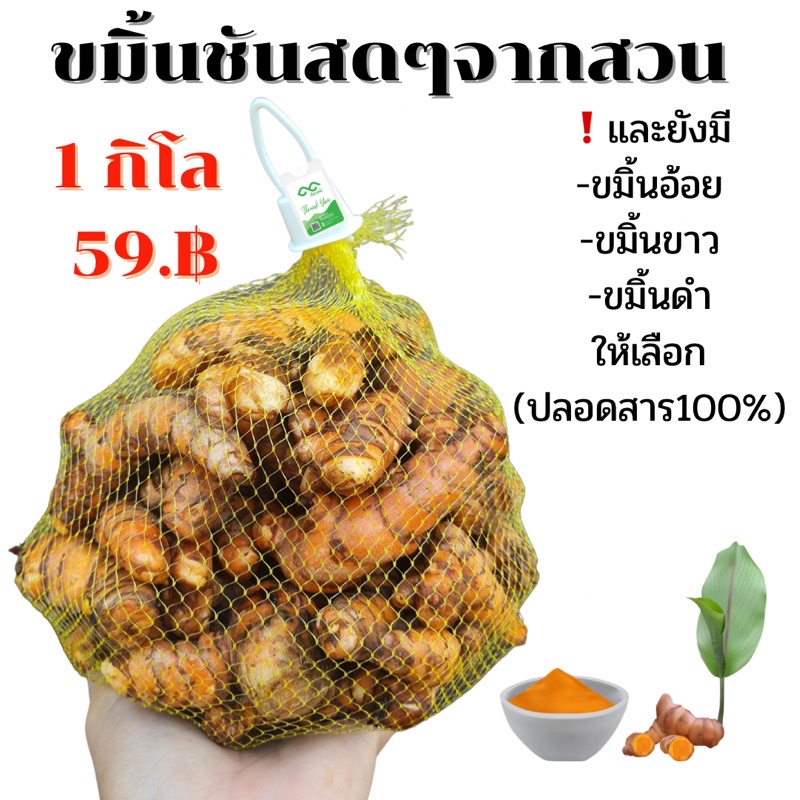 ขมิ้นชัน สด จากสวน 1 กิโล ขมิ้นปลอดสารในแปลงอินทรีย์แบบมีส่วนร่วมมีใบรับรอง