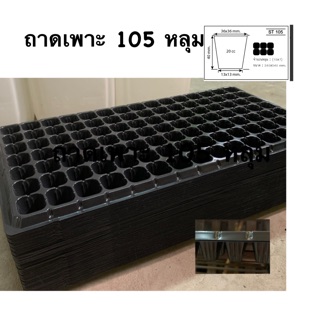 ถาดเพาะ 105 หลุม จำนวน 5 ชิ้น