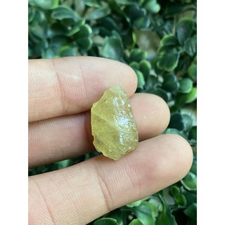 (F) พลอยดิบแท้ เยลโล่ อพาไทร์(Yellow Apatite)พลอยธรรมชาติ 100% น้ำหนัก 27.50 กะรัต