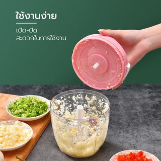 เครื่องปั่นกระเทียม  0430