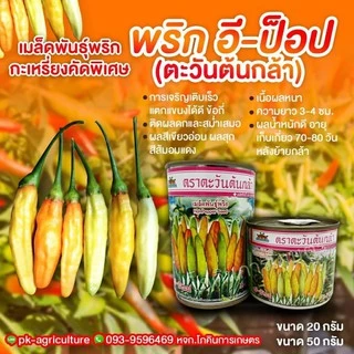 เมล็ดพันธุ์พริกกะเหรี่ยงคัดพิเศษ อีป็อป (ตะวันต้นกล้า) ขนาด 20-50 กรัม