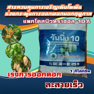 แพกโคลบิวทราซอล 10% รันนิ่ง สารควบคุมการเจริญเติบโต ช่วยกระตุ้นการออกดอก ทำให้ออกดอกได้เร็วขึ้น แพกโค แพกโคลบิวทราซอล