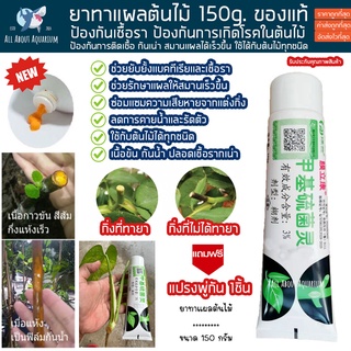 ยาทาแผลต้นไม้ แถมฟรีพู่กัน ขนาด 150 กรัม (ของแท้) ยาทาต้นไม้ ป้องกันเชื้อรา ช่วยสมานแผล ยาทาแผลบอนไซ บอนไซ มอนสเตอร่า