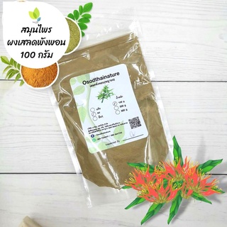 ผงเสลดพังพอน บดละเอียด แท้ 100%  ขนาด 100 กรัม  สมุนไพร ผงเสลดพังพอน เสลดพังพอน (Barleria lupulina Lindl Powder)