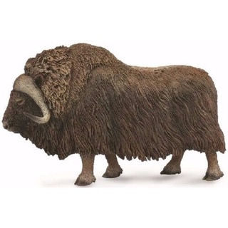 Collecta โมเดลสัตว์ป่า - 88837 Musk Ox