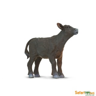 Safari Ltd. : SFR160929 โมเดลลูกวัวแองกัส Angus calf