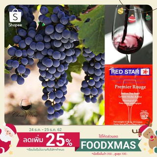 ยีสต์หมักไวน์ Red Star Pasteur Red® สีแดงอ่อน ยีสต์ ทำไวน์ หมักไวน์ ผลไม้