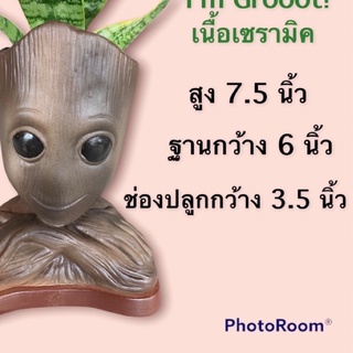 กระถางเซรามิค รูปทรงขอนไม้ ไอแอมกรูท พร้อมจานรองกระถาง