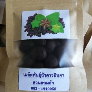 เมล็ดพันธุ์ถั่วดาวอินคา 30 เมล็ด