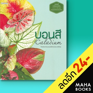 บอนสี Caladium | บ้านและสวน สมาคมบอนสี แห่งประเทศไทย