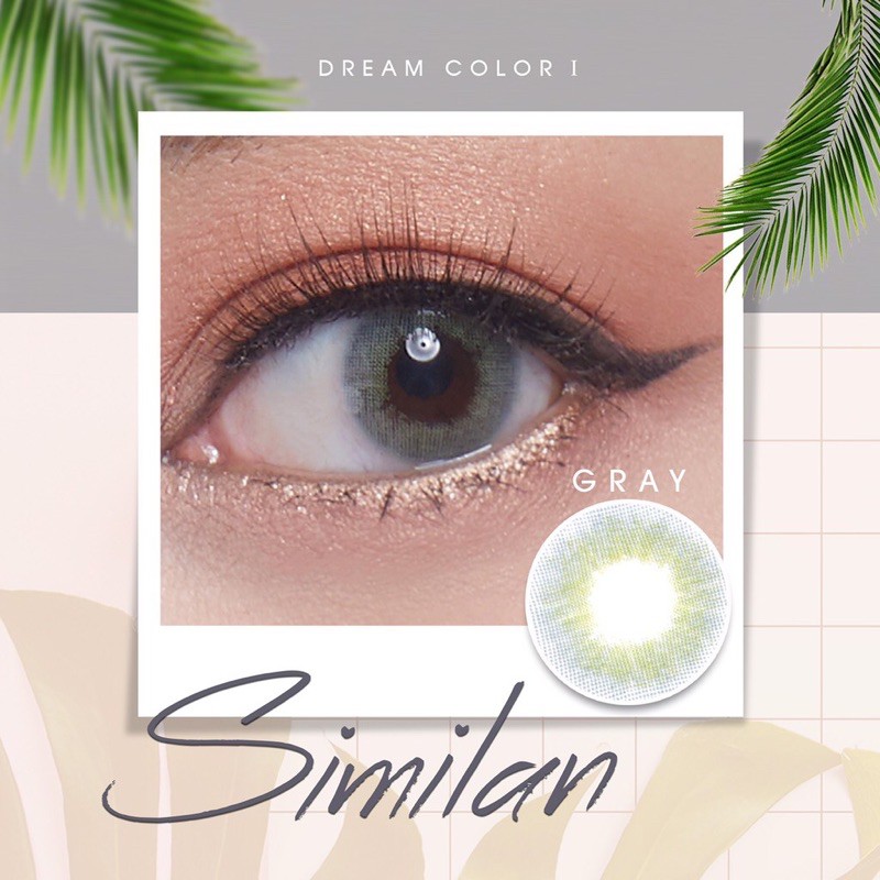 🤎Bigeyes Similan Gray🤎สายตา-2.75(Dream color1)