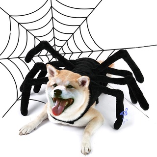 เทศกาลสงกรานต์ Halloween Dog Cat Costume Simulation Spider Shaped Creative Pet Wearing Decorative Outfit Pet Supplies Accessories