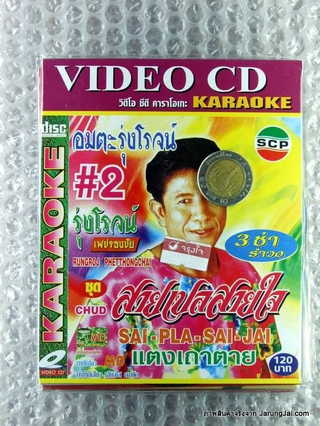 vcd รุ่งโรจน์ เพชรธงชัย ชุด 2 สายเปลสายใจ karaoke vcd scp