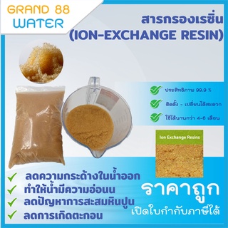 สารกรองเรซิ่น RESIN (ION-EXCHANGE RESIN)