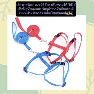 AL-264 สายจูงสัตว์เลี้ยง เชือกจูงสุนัข แมว หมา ของใช้สัตว์เลี้ยง คุณภาพดี ราคาถูก พร้อมส่ง🧡👏🏻