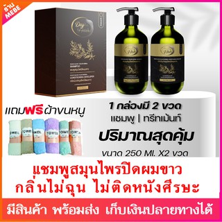 DayHair เดย์แฮร์ แชมพูสมุนไพรปิดผมขาว | สีธรรมชาติ | ปลอดภัย กลิ่นไม่ฉุน ไม่ติดหนังศีรษะ | แชมพูปิดผมขาว | ปิดผมหงอก