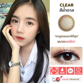 ไม่แถมตลับ Clear Brown (มินิ) คอนแทคเลนส์ Wink