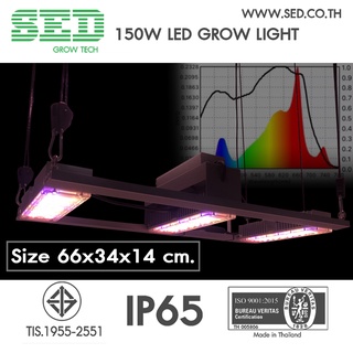 โคมไฟปลูกต้นไม้ ขนาด 150 วัตต์ SED Grow Light ( 150 W LED Grow Light )