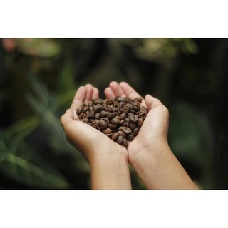 เมล็ดกาแฟ(บดฟรี) โรบัสต้า Espresso Strong เกรด A /// 1 ถุง รวม 250 ก./// คั่วใหม่ ทุกออเดอร์ Daniel's Artisan Roastery