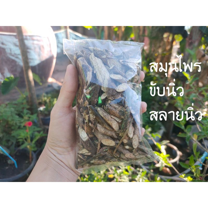 สมุนไพรขับนิ่ว สลายนิ่ว ยาสมุนไพรปลอดภัย % เห็นผล %