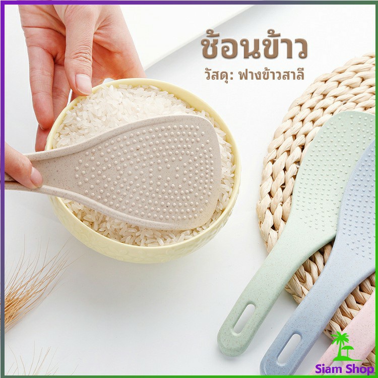 ทัพพีตักข้าว ข้าวไม่ติดทัพพี ทำจากฟางข้าวสาลี wheat straw spoon