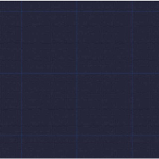 Elegant Bluefeel Drago Brand Suiting Fabrics Windowpane Pattern 74Ta01_030_03