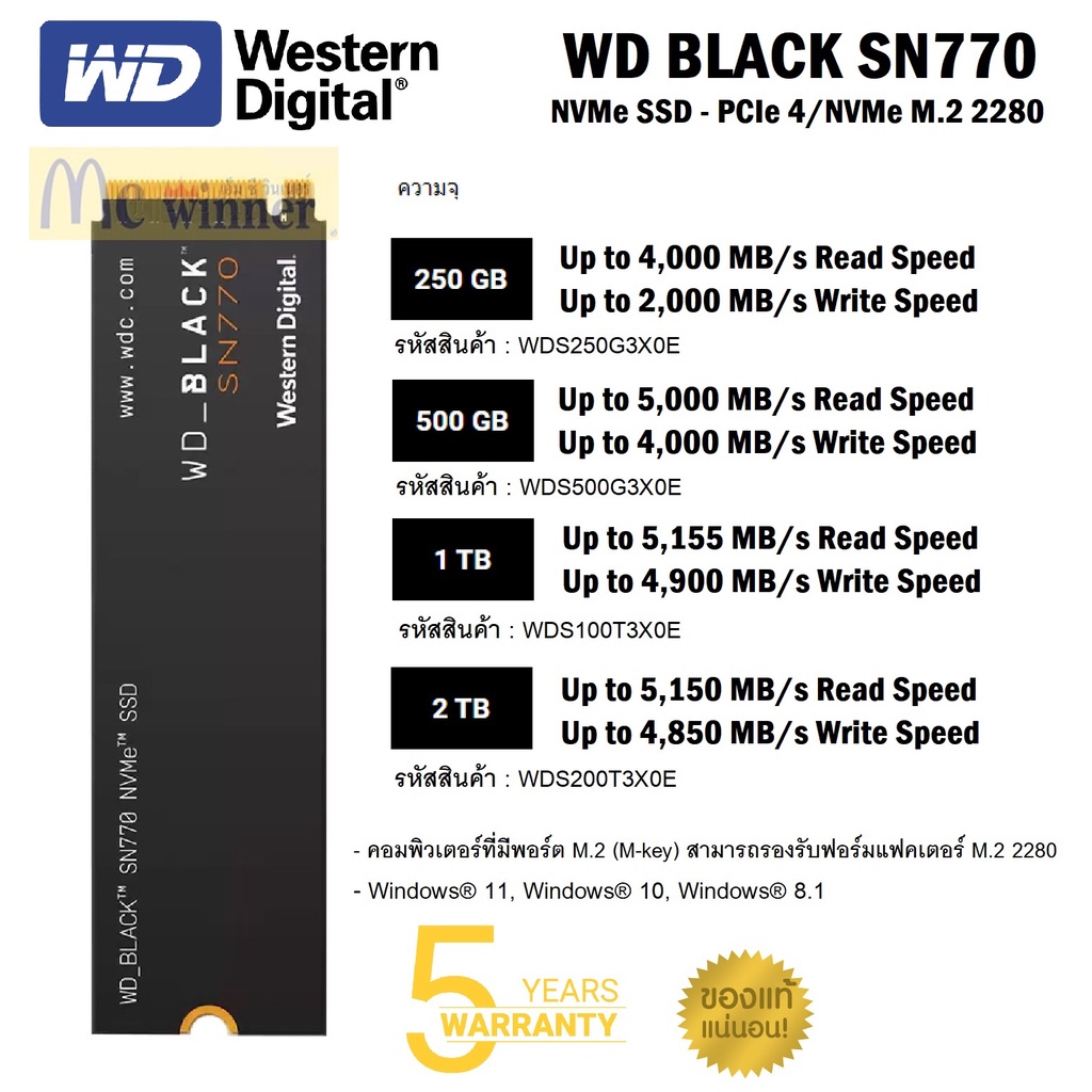 WD BLACK SSD 250GB SN770 NVMe M.2 WDS250G3X0E.