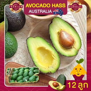 อะโวคาโด อะโวคาโด้ จำนวน 12 ลูก อะโวคาโดสด อโวคาโด้  อโวคาโด นำเข้า AVOCADO HASS AUSTRALIA ผลไม้สด