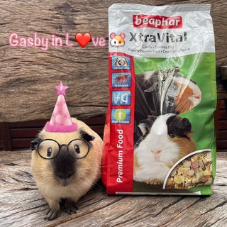 Beaphar XtraVital Guinea Pig อาหารหนูแกสบี้ ขนาด 1 กก.  สินค้าเกรดพรีเมียม มาตราฐาน GMP จากประเทศเนเธอร์แลนด์ 🐹