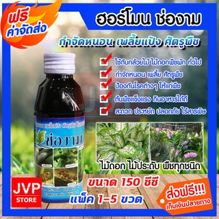 ยากำจัดหนอน เพลี้ยและแมลง ขนาด 150 ซีซี.(Pesticides)ช่องาม ยาปราบศัตรูพืช สารกำจัดศัตรูพืช ไม้ดอกไม้ประดับพืชทุกชนิด