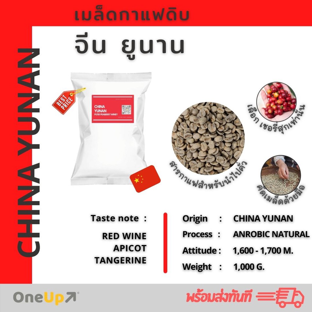 เมล็ดกาแฟดิบ สารกาแฟยูนนาน จีน China YUNNAN  Pu'er Peaberry Winey Green coffee Beans 1 KG [พร้อมส่ง]