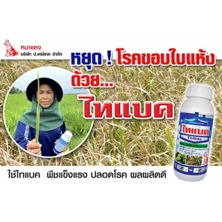 ไทแบค ซิงค์ไทอะโซล สารป้องกันและกำจัดโรคแบคทีเรีย ขนาด 1ลิตร/500ml