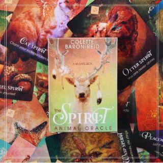 【Ready Stock】การ์ดเกมของเล่นสำหรับเด็กThe Spirit Animal Oracle: A 68-Card Deck and Electronic Guidebook