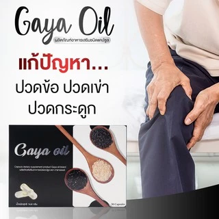 [1 แถม 1]Gaya Oil ผลิตภัณฑ์เสริมอาหารชนิดแคปซูล ช่วยบำรุงกระดูก ข้อเข่าและข้อต่อให้แข็งแรง ตรา กายาออยล์ [C13]