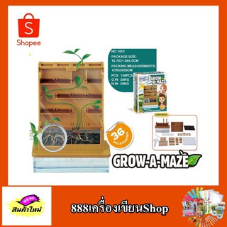 เกมชุดวิทย์ grow-a-maze No.1001