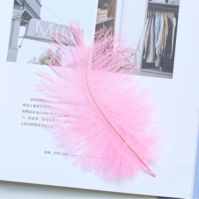 พร็อพถ่ายรูปสินค้า ขนนก อุปกรณ์ประกอบฉาก