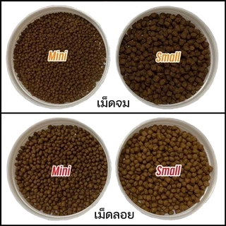 DEEP INSECT INSIDE 100,350,500 กรัม อาหารปลาทอง สูตรเร่งโต&เร่งสี โปรตีนคุณภาพจากจิ้งหรีด