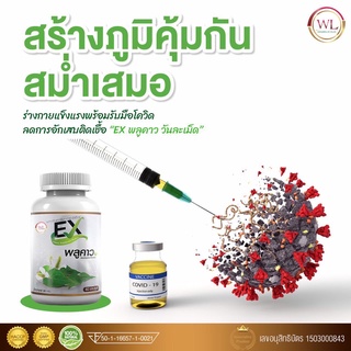 เสริมภูมิคุ้มกันให้ร่างกาย🛡ด้วย EX พลูคาวสมุนไพรไทย🇹🇭 ผสานมะขามป้อมและยีสเบต้ากลูแคน🌾